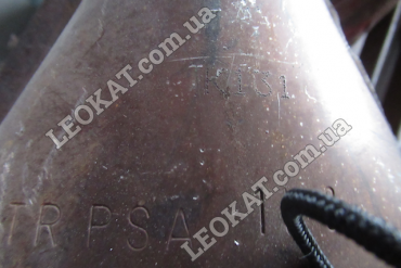 LEOKAT Викуп каталізаторів - Citroën - Peugeot -  - Кераміка - TR PSA K131 0598