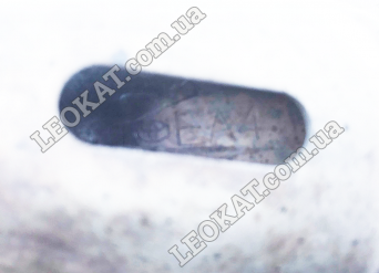 LEOKAT Викуп каталізаторів - Toyota -  - Кераміка - EA4