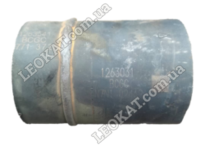 LEOKAT Викуп каталізаторів - Unknown/None -  - Сталь - N7N1 02469 Muffler cover: E4 P11 P11-306-EU Steel code: 1263541 1263031 BCGC